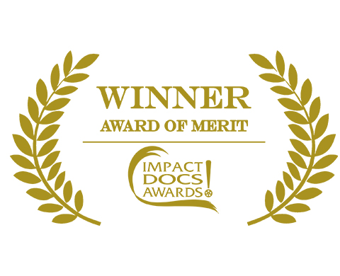 Cannes Gold Winner 2013 Corporate Media & TV Awards